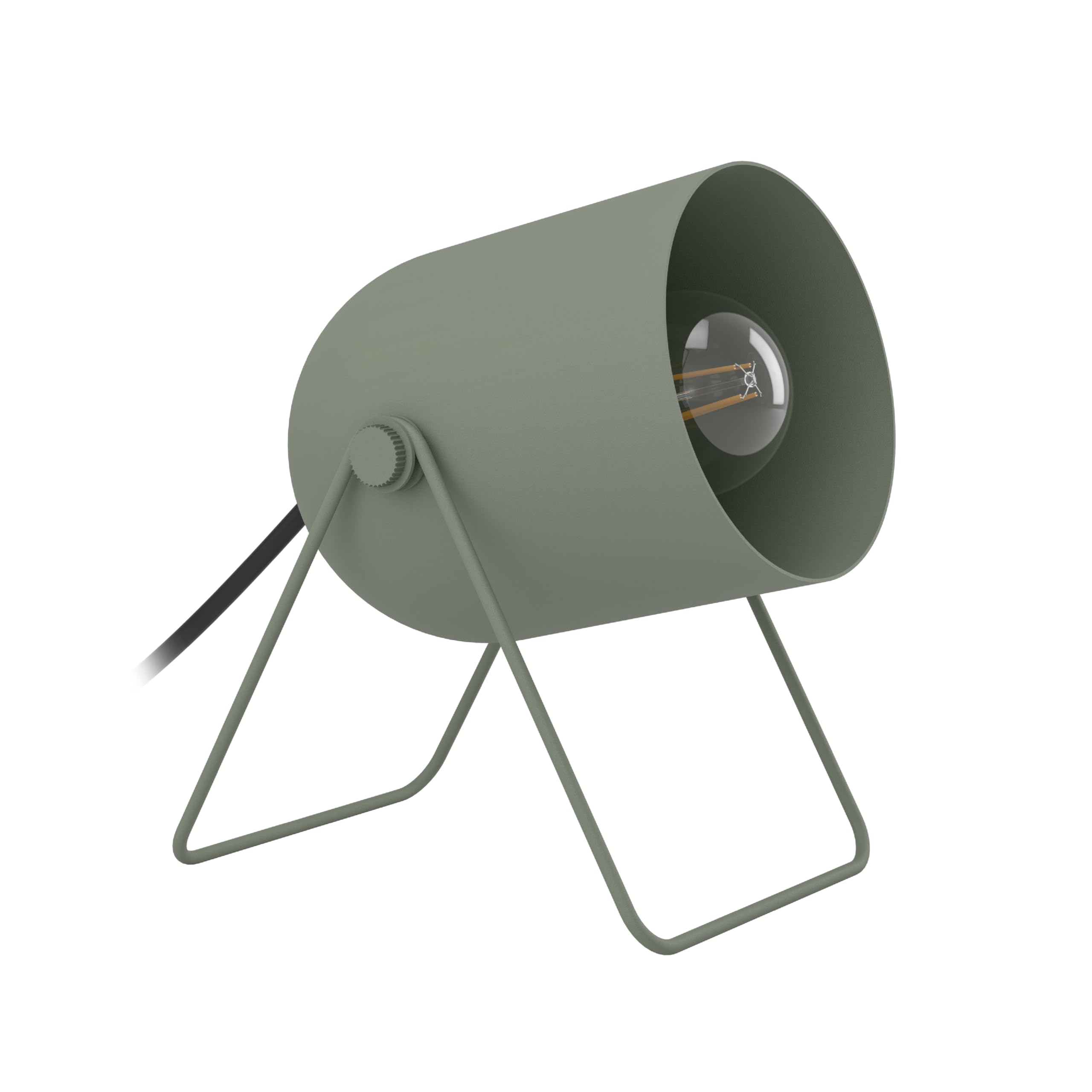 Eglo Unisex Green Tilston Steel Minimalist Desk Lamp,