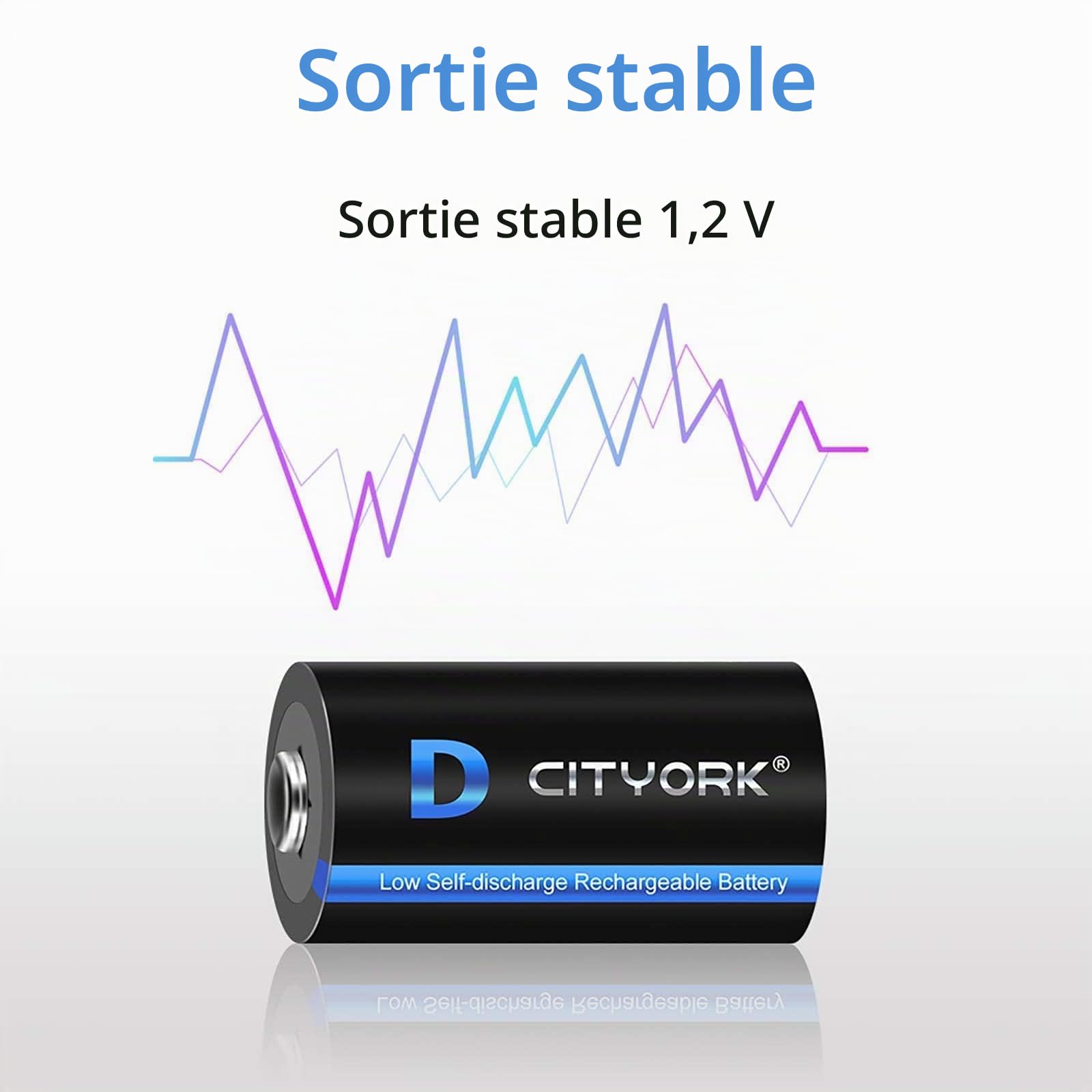 CITYORK 10 000 mAh 1,2 V Ni-MH D Piles Rechargeables Haute capacité Parfaites pour Une Utilisation Quotidienne et Professionnelle Comprend Un étui à Piles – Lot de 6