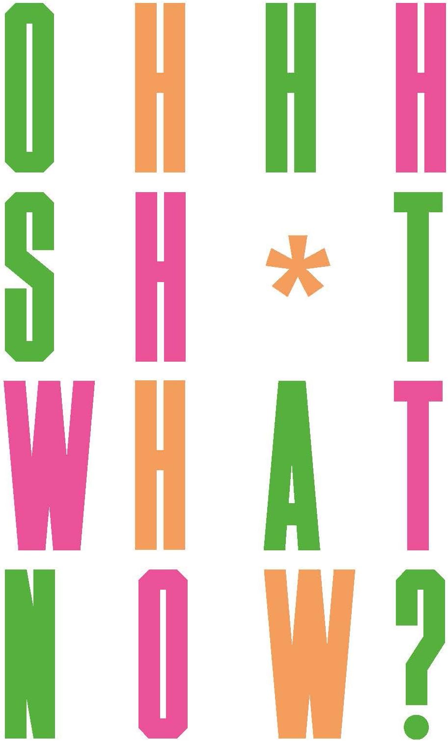 Oh Sh*t... What Now?: Honest Advice for New Graphic Designers Hardcover – 2 April 2018