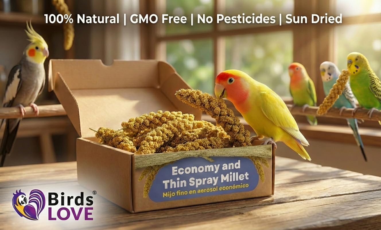 Birds LOVE Millet Tips & Tails for Birds - Parakeets, Cockatiels, Lovebirds, Finches, Budgies, Canaries, Cockatoos - Natural & Healthy Millet for Birds - Parakeet Food & Treats for All Parrots, 1lb