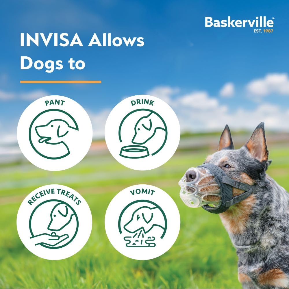 Baskerville INVISA Kaganiec koszykowy dla psa, opatentowany, ludzki design z widocznością twarzy, wyściełany pasek na nos, spodnie i picie, zapobiega gryzieniu i zmiataniu, kaganiec dla średnich psów