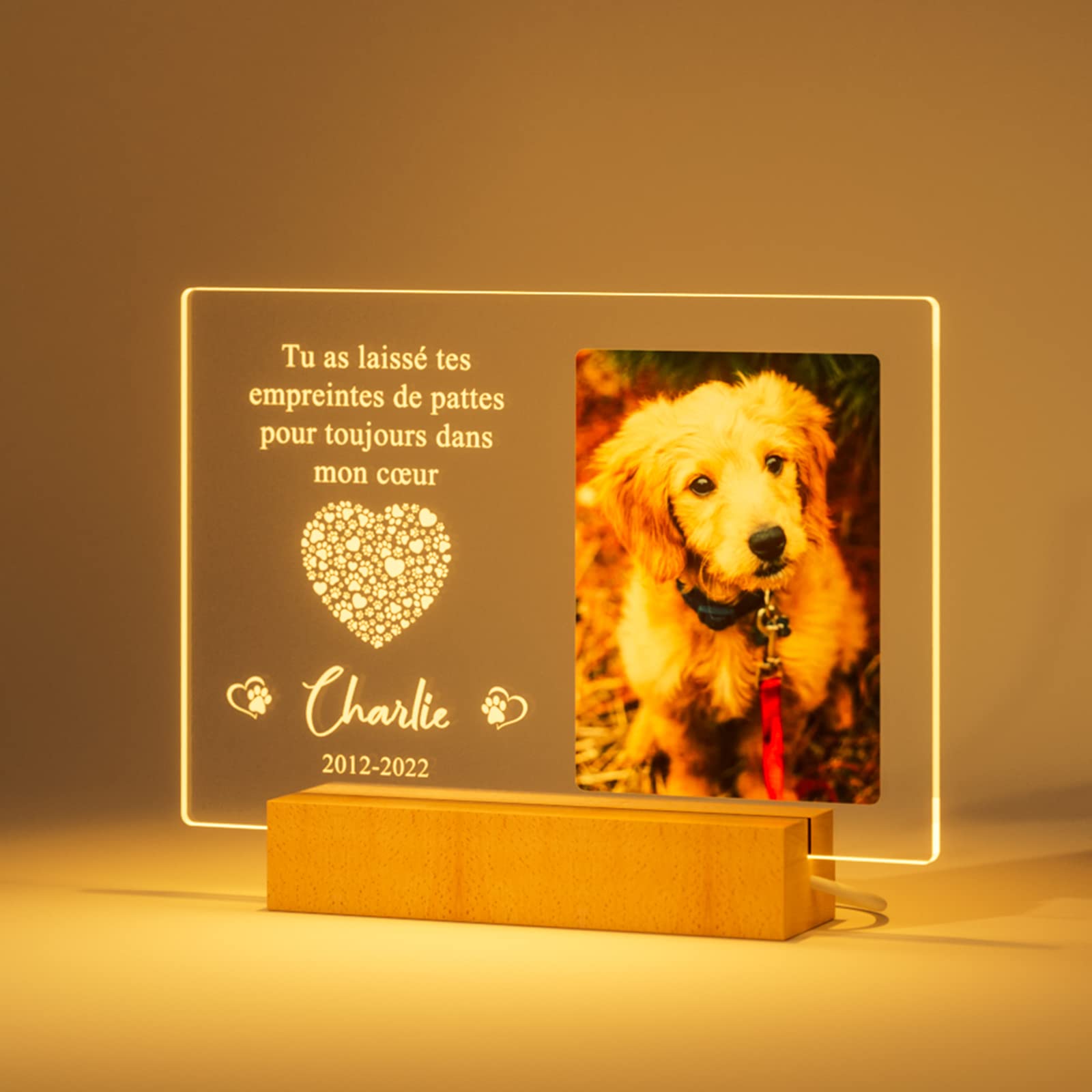 cadre pour souvenir animal décédé