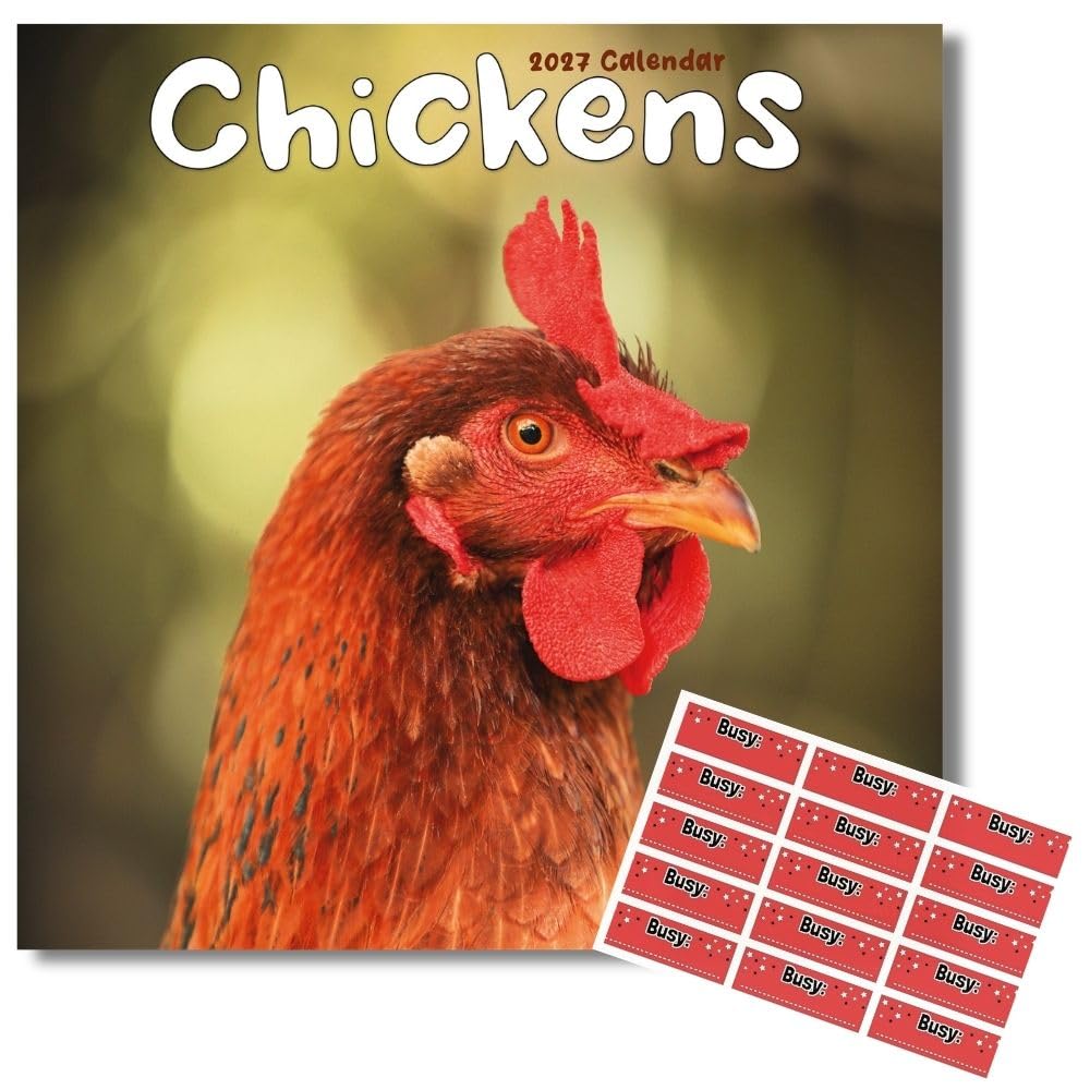 Avonside Chickens 2027 Calendar with Organisational Stickers, 16 Month Square Wall Calendar (Sept 2026 - Dec 2027), UK Planner with Chickens, For Animal Lovers, Home or Office, 11.6 x 11.6 in