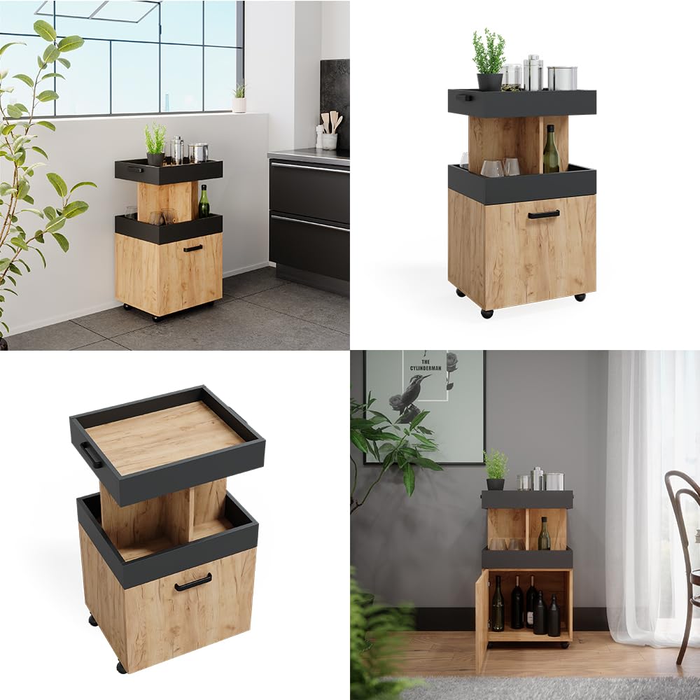 Vicco Hausbar Minibar Getränkebar Kamber Tür rollbar Ablage Fach Regal