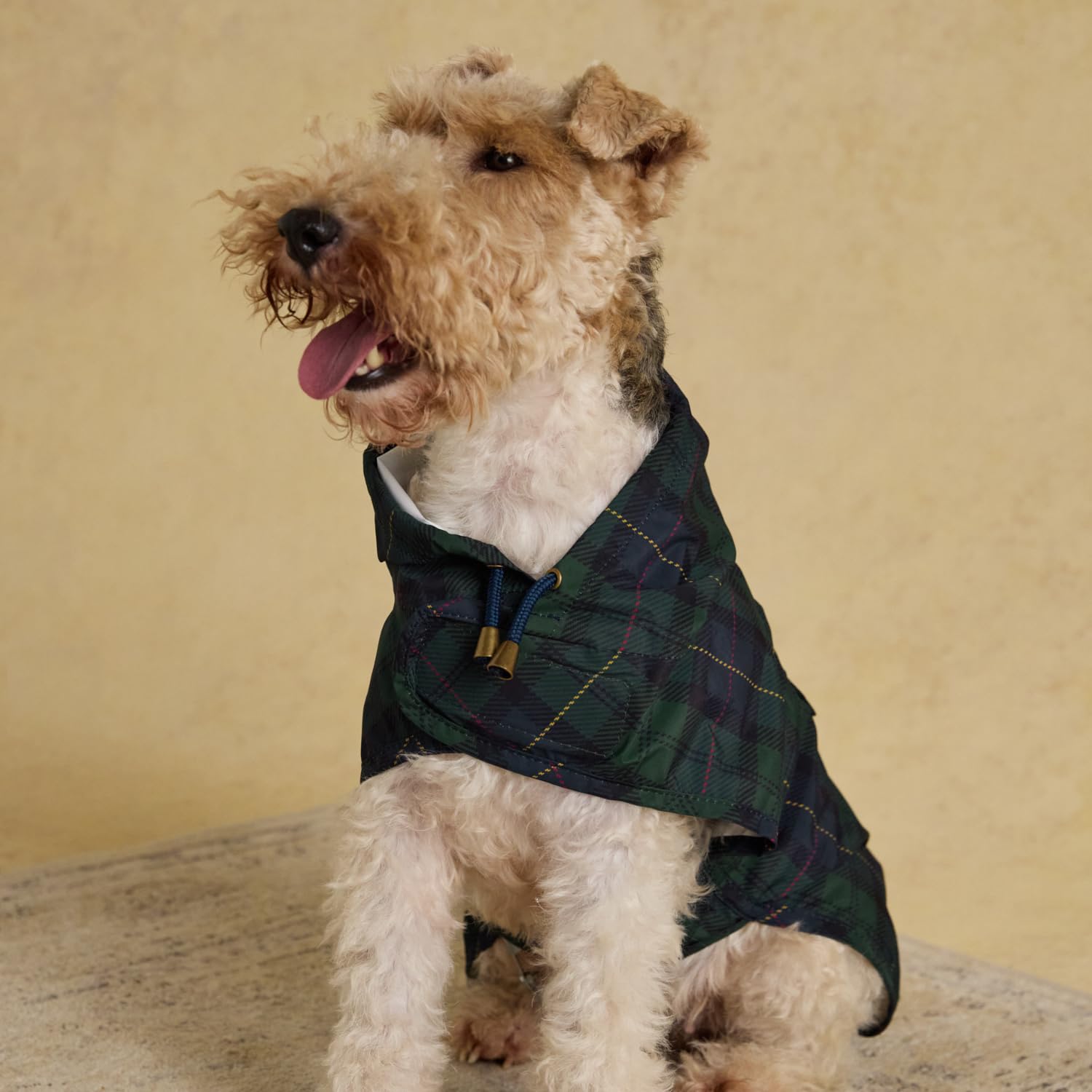 Rosewood x Joules Blackwatch Check Packaway Dog Jacket, Medium – Lightweight Water-Resistant Coat with Hood, Adjustable Velcro Fastenings, Portable for Travel & Walks