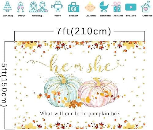 Miniatura 4 de Decoración de calabaza para revelación de género del bebé, vinilo de 7 x 5 pies, hojas de arce doradas, él o ella, rosa o azul, decoración de fiesta