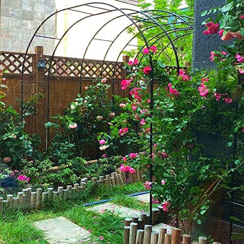 Arche de base en métal robuste avec treillis intégré pour décor extérieur