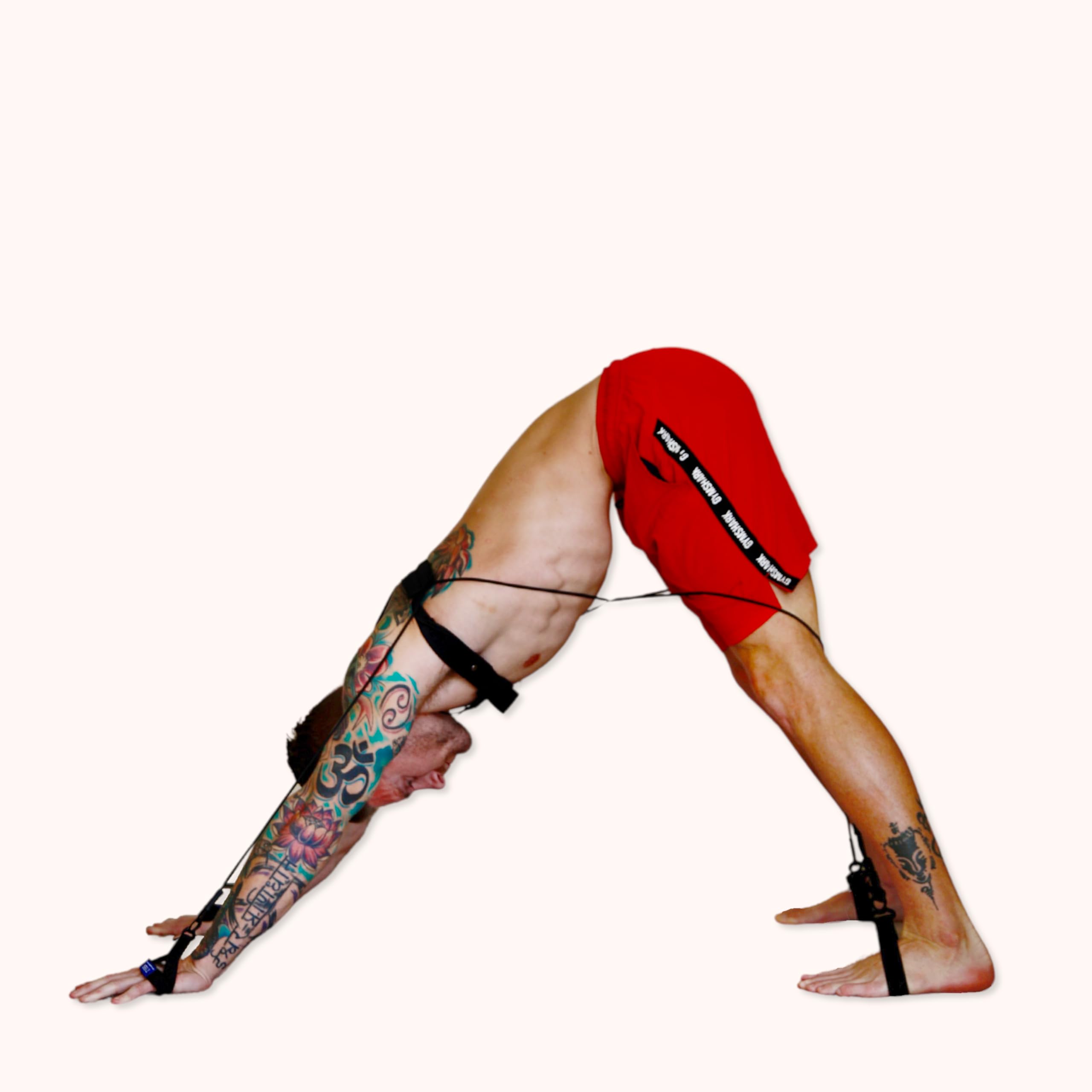 PhysicalMind Institute TYE4® and TYE4X™ Wearable Resistance Assistance Bands for Home Gym– Body, Pilates, Yoga, Posture, Stretching, Balance Reformer Equipment – Portable Exercise Cords