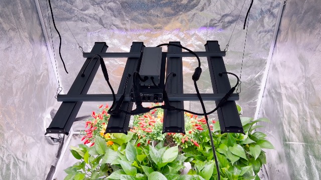 Amazon.com : FARMLITE LED Grow Lights for Indoor Plants Full
