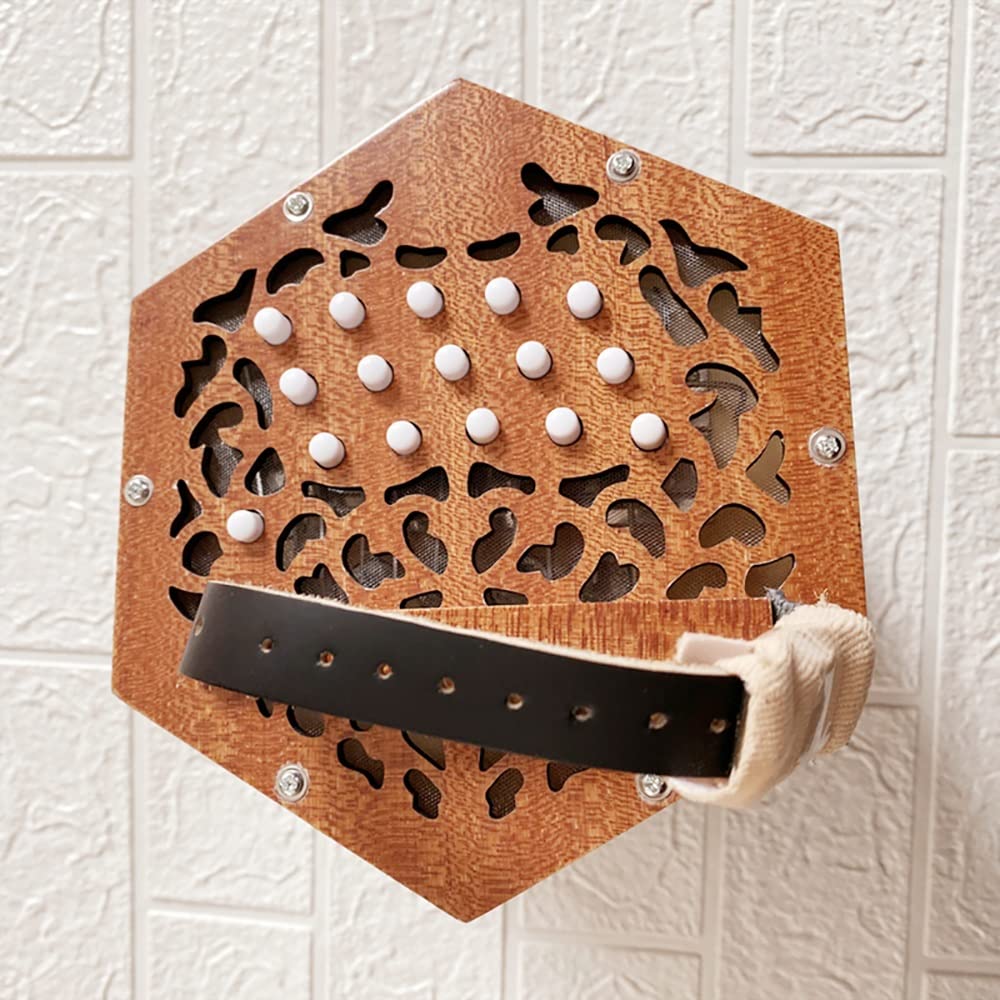 Concertina for Fisarmonica 30 Pulsanti, Suono più Morbido E Affascinante, Strumento A Tastiera Entry Level, con Borsa for Il Trasporto