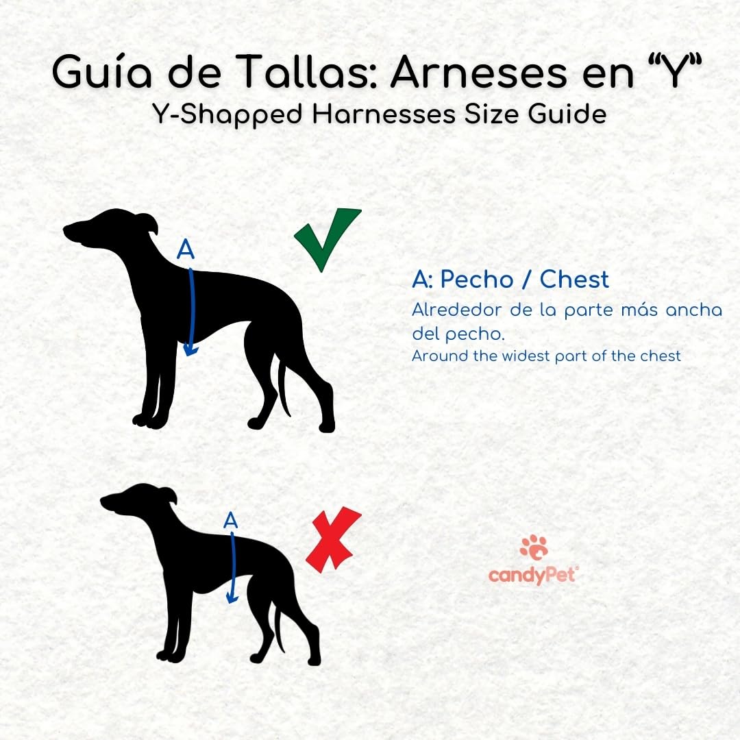 Arnés Reflectante Anti-Tirones en Forma "Y"- Ideal para Lebreles: Galgo Italiano, Whippet, Galgo, Podenco - Seguro, Transpirable y Duradero - Perfecto para Caminar, Entrenar y Correr - CELESTE, XXL