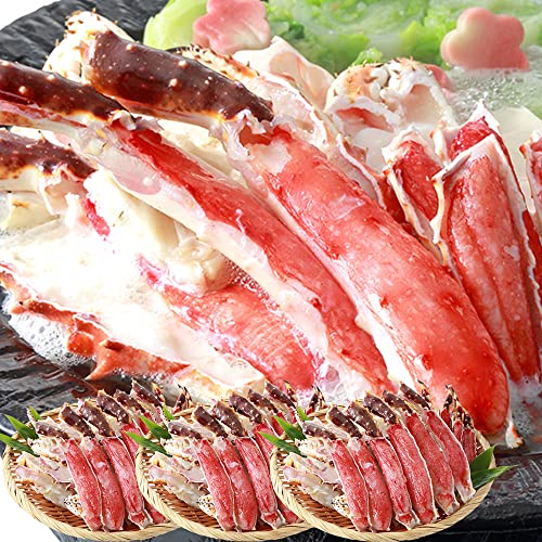  ^oKj 2.4kg(800g×3) r ΂ n[t|[V Mp Jbgς 2`3lO ɓ ĂI Ε Mtg NNn