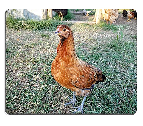 WYRUJYU Alfombrilla de ratón, diseño de animales, material de goma natural