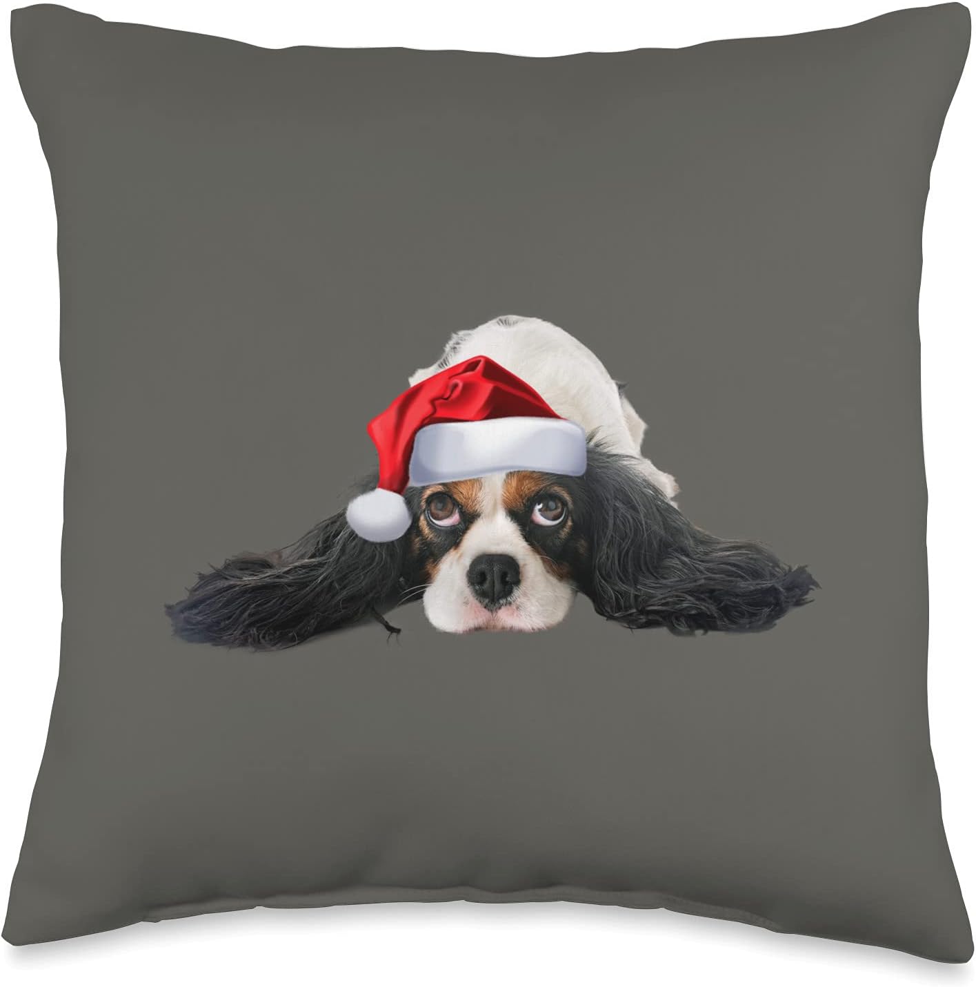 Cavalier King Charles Spaniel Dog Matching Christmas Pjs Throw Pillow