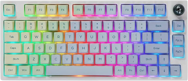 EPOMAKER TH80 Pro 75% Hot Swap RGB 2.4Ghz/Bluetooth 5.0/Wired Mechanical Keyboard with MDA PBT Keycaps, 3800mah Capacity Battery, Knob Control for Windows/Mac(Monet TH80 Pro, Flamingo Switch)