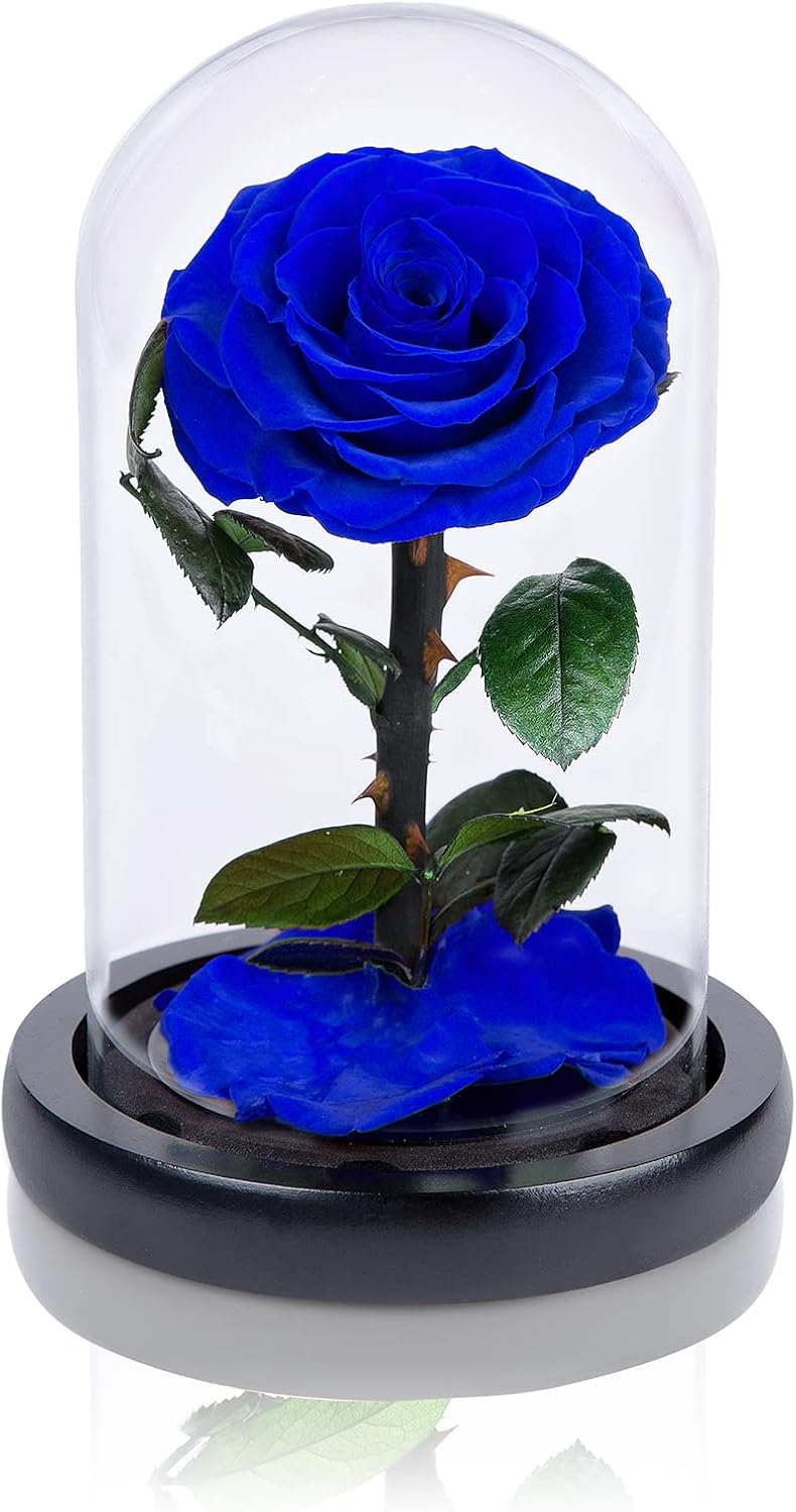 Handmade Preserved Roses in Glass Dome Valentines Day Gifts