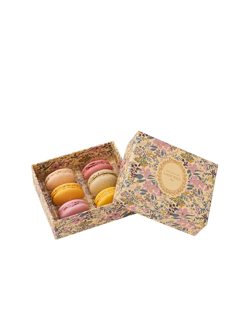 本日限定　ラデュレ LADUREE 貝殻 コンパクト 本日限定 ラデュレ LADUREE 貝殻 コンパクト ラデュレ 限定