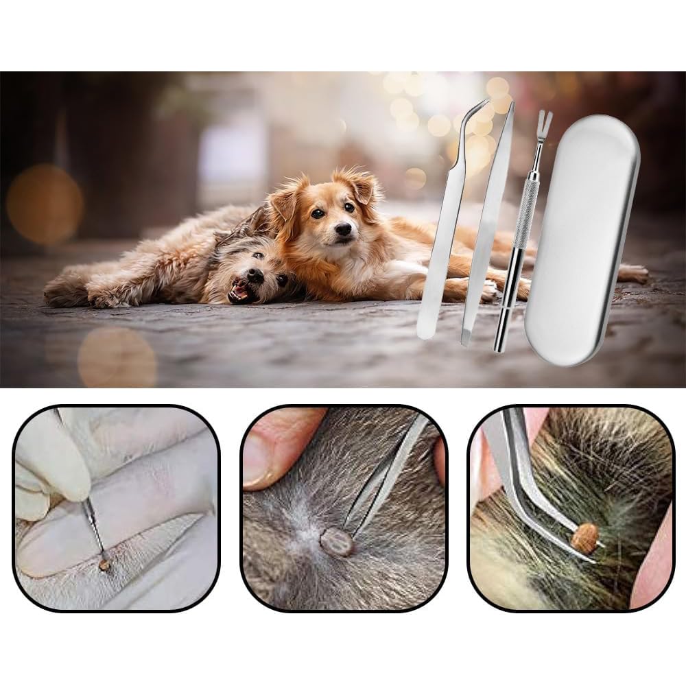 Sarini Ensemble d'outils de Suppression de tiques en Acier Inoxydable de 4 pièces,1 Pince à épiler pour enlever Les tiques， 1 pièce de râteau Tranchant,d'élimination des tiques pour Chiens et Chats