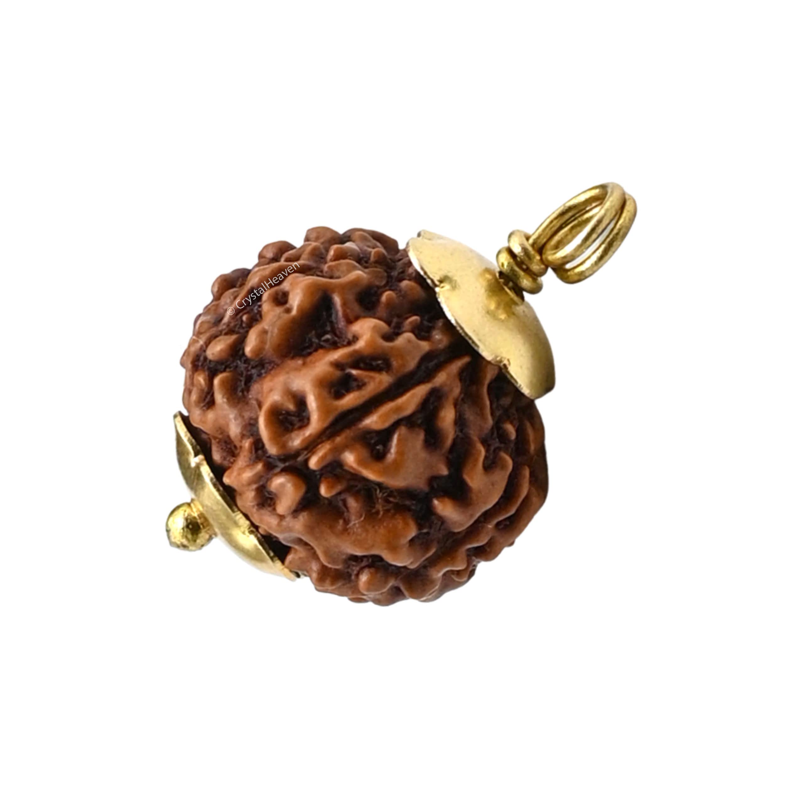 Crystal Heaven Rudraksha Original 7 Mukhi Pendant Necklace for Women Men | Certified Rudraksha with Velvet Pouch (Gold) 2