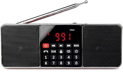 FZZDP Digital Portable Radio AM FM Speaker Stereo MP3 Player TFSD Card USB Drive Handsfree Call LED Display
