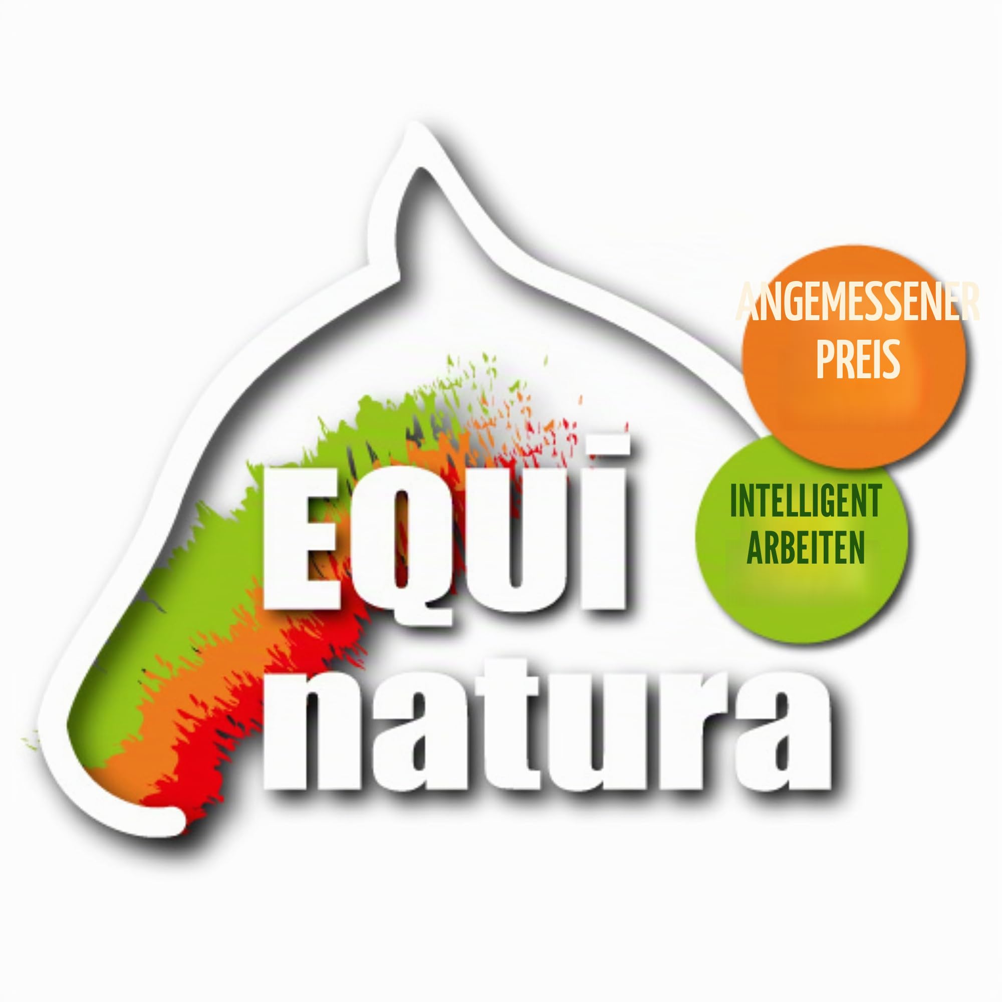 RL24 Equinatura - Naturkost Leckerli Banane-Ananas-Papaya | Pferdeleckerlis für Pferde | knackige Pferde Belohnung | 3 x 2250g (3er Set)