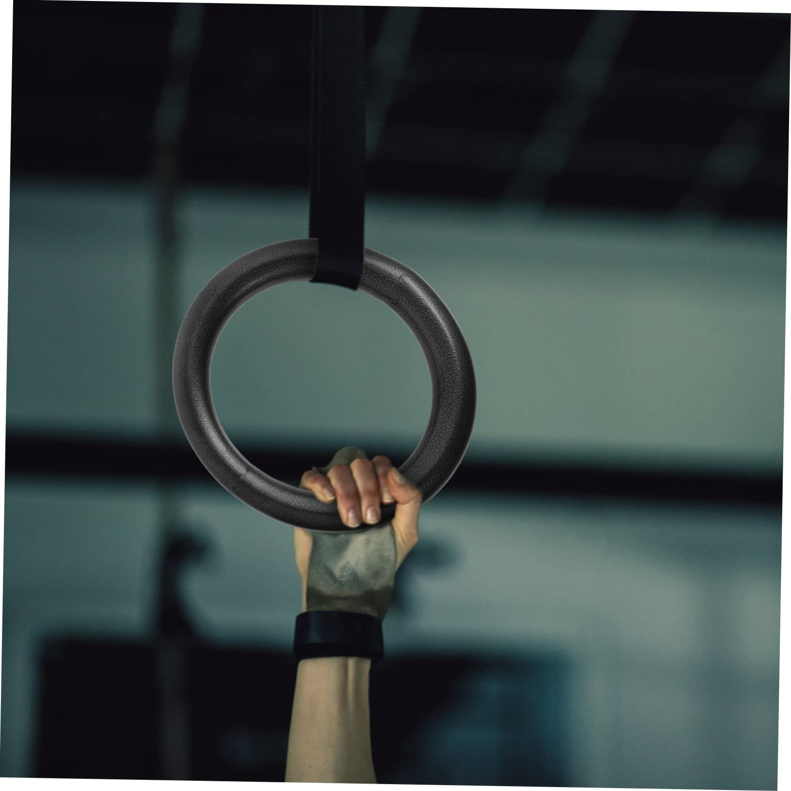 Anelli Ginnici Fitness 2 Pezzi in Acciaio e Corda Nylon