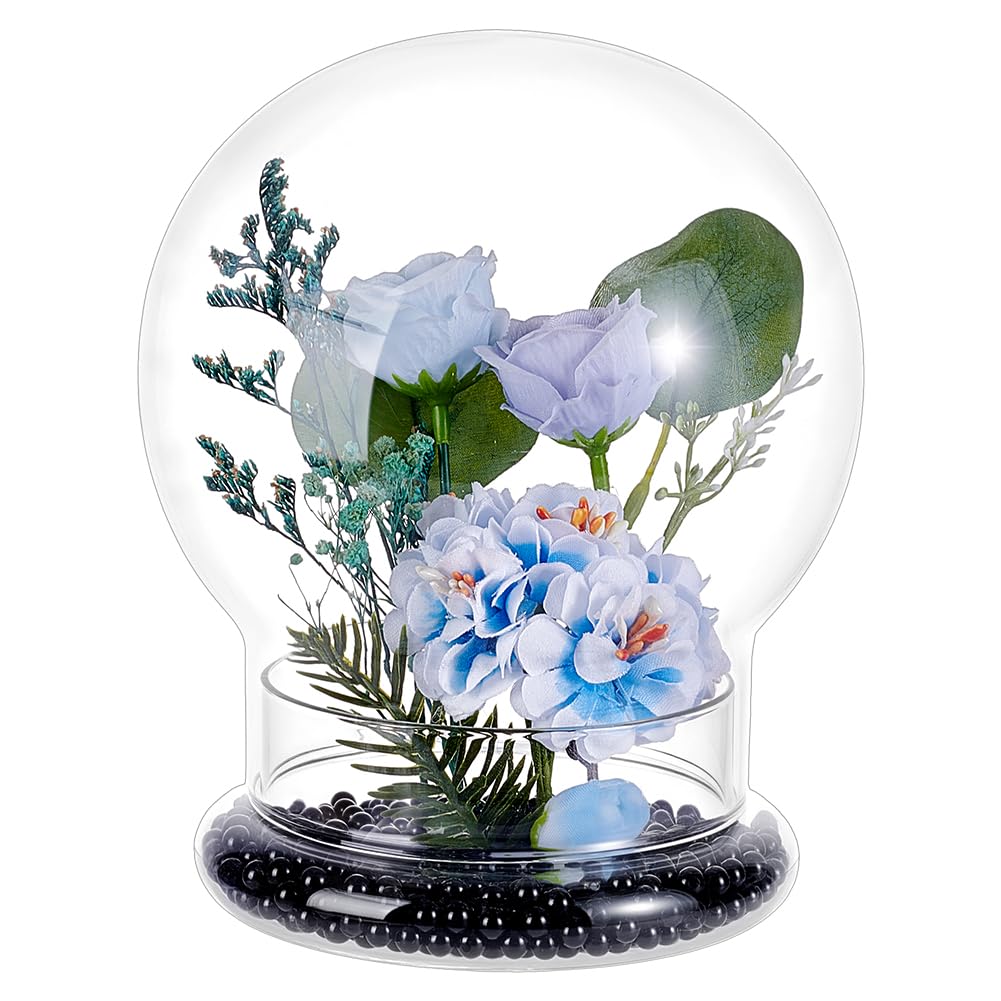 PH PandaHall Round Glass Dome Cover 14x16.5cm Clear Terrarium Glass Cloche Dome with Base Terrarium Planter Cloche Bell Jar Planter Display Dome for Cactus Succulents Tabletop Home Decoration