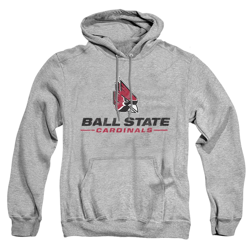 LOGOVISION Official Collegiate Distressed Primary Logo Adult Pullover Hoodie Collection — view 250