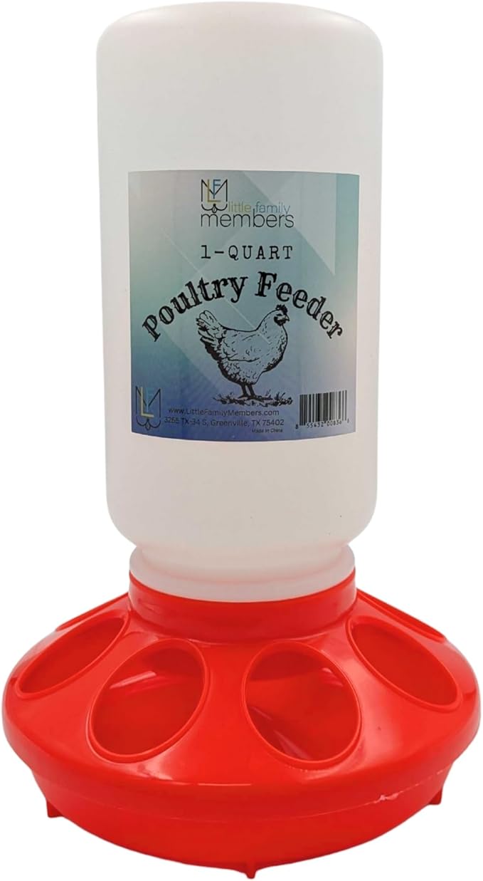 Chick Feeder 1-Quart Capacity for All Small Poultry | Durable