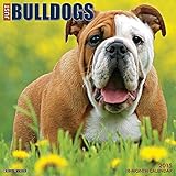 Just Bulldogs 2015 Wall Calendar