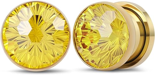 POBAISITER 2PCS Stainless Steel Ear Gauges Chrysanthemum Cut Round Cubic Zirconi