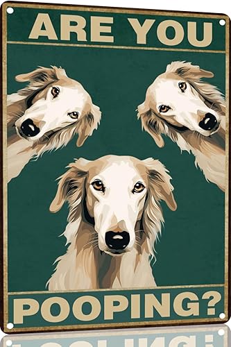 Vista 8 de Bichon Frise Dog - Cartel de 12 x 16 pulgadas con texto en inglés "Are You Pooping" para decoración de baño, póster de metal para perro amante