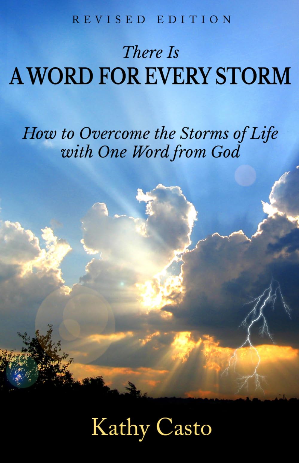 There is a Word for Every Storm Revised Edition: How to Overcome the Storms of Life with ONe Word from God