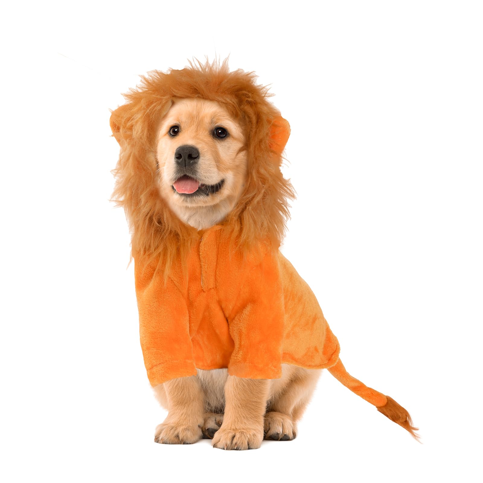 Costume de lion pour chien manteau Halloween chaud vêtement de costumade animaux taille L
