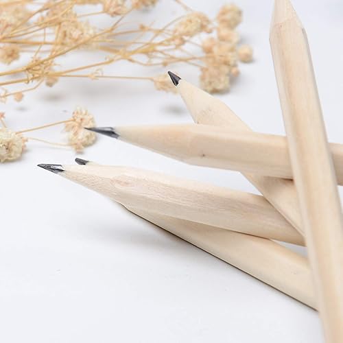 Miniatura 2 de Lápices de grafito 2B con carcasa de madera para dibujo, bocetos, escritura, exámenes, estudiantes, artistas, principiantes, oficina en casa