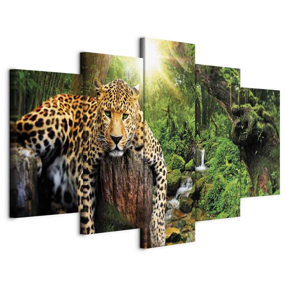 B&D XXL - Grand Tableau Mural Décoration Moderne Salon, Nature, 150x75 cm