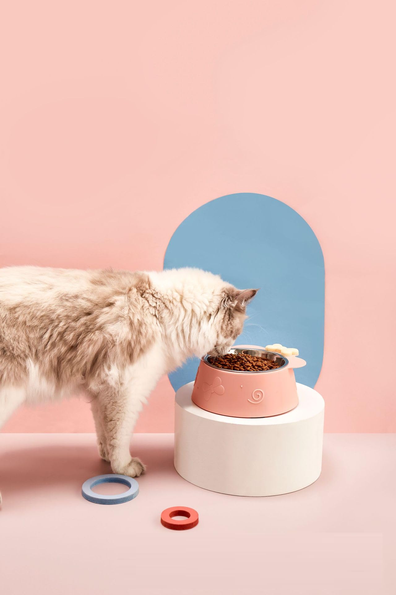 FYCAN Colorful Cat Feeding Lightweight Plastic Dog Single Feeding Bowls, Durable Non-Slip Kitten Food and Water Bowls - Durable and Easy to Clean Pet Bowls Pet Cat Dog Small Animal_1 (Pink) 4