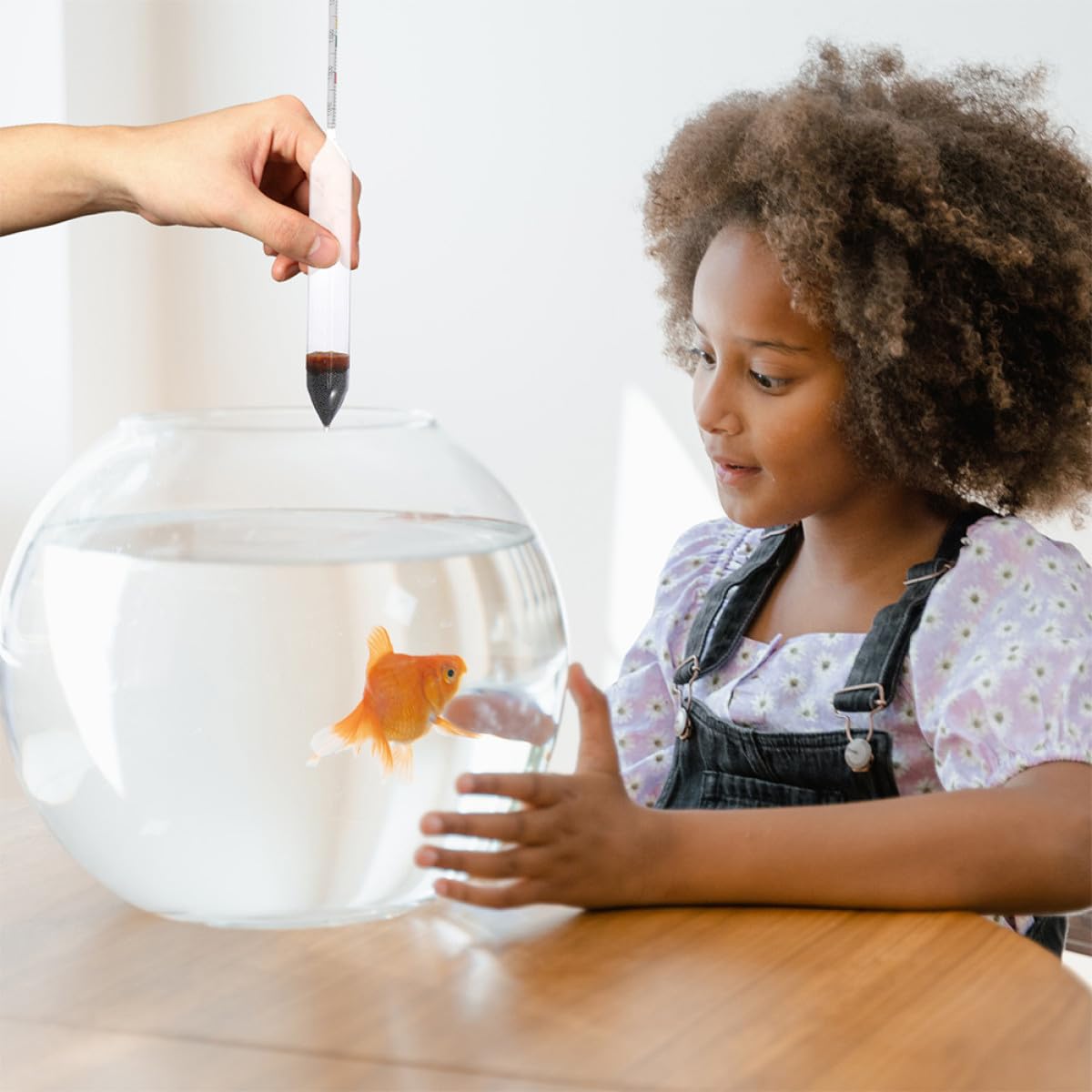 DOITOOL Hidrómetro de Salinidad para Acuarios 2 Unidades de Vidrio Resistente para Agua Salada Medidor de Salímetro Profesional para Peceras y Piscinas Accesorio Acuarios de Medición