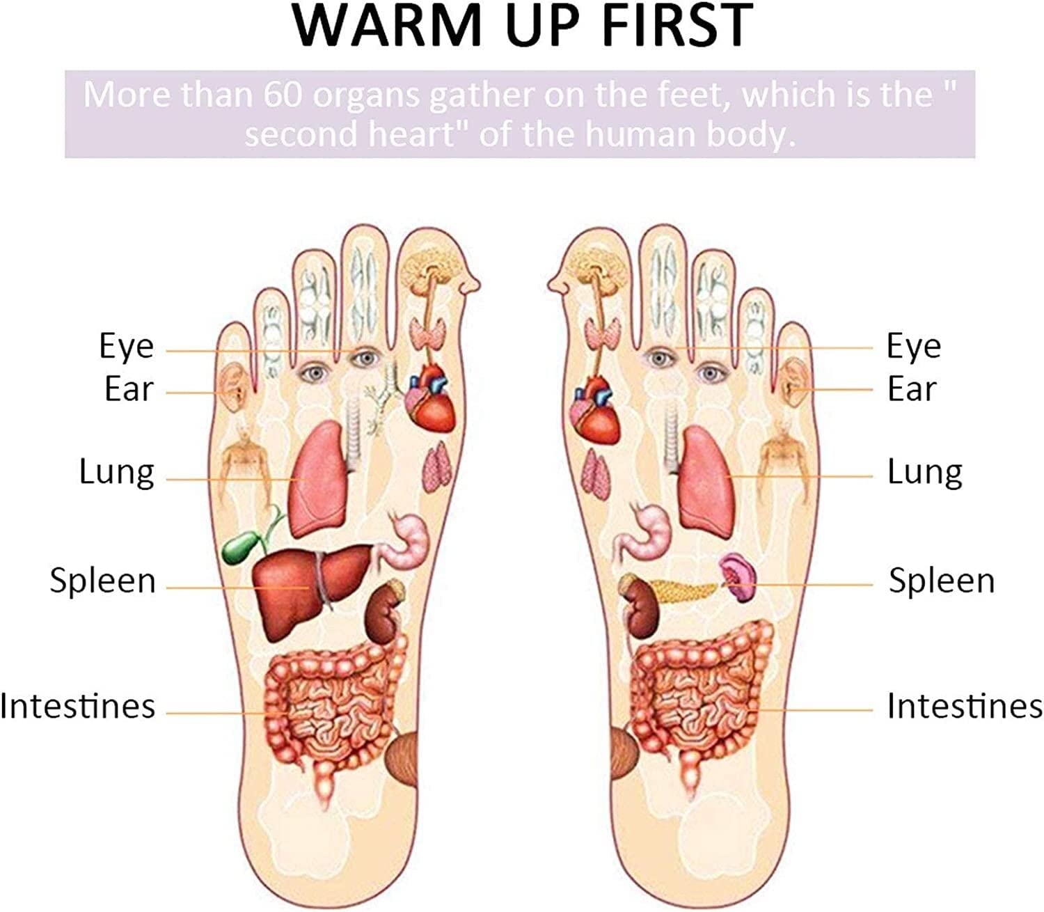 Calentador de pies eléctrico, Calentador de pies de pantufla de calefacción con alimentación USB Calentador eléctrico desmontable suave de bolsillo grande for el invierno en el hogar Oficina Zapatilla