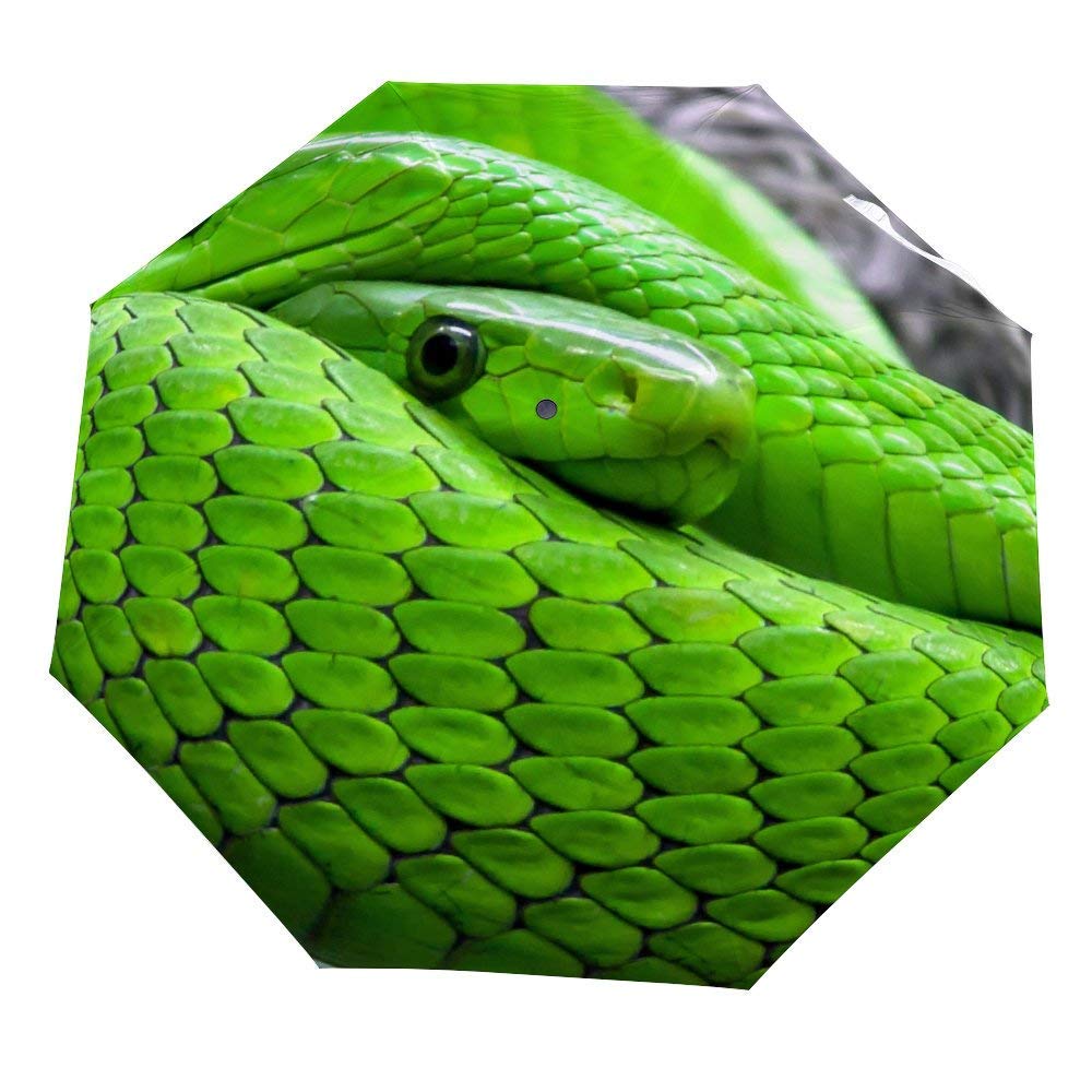 Reverse Inverted Windproof Animal Green Mamba Snkae Umbrella - Upside Down Umbrellas with C-Shaped Handle for Women and Men - Double Layer Inside Out Folding Umbrella