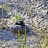 wasserspeier frosch Das Set eignet sich perfekt zur Verwendung am Teich oder Wasserbecken. Einfach die Pumpe mit dem Wasserspeier verbinden, das Solarpanel zur Sonne ausrichten und schon beginnt das Wasserspiel, nur mit der Kraft der Sonne, ganz ohne zusätzliche Stromkosten.