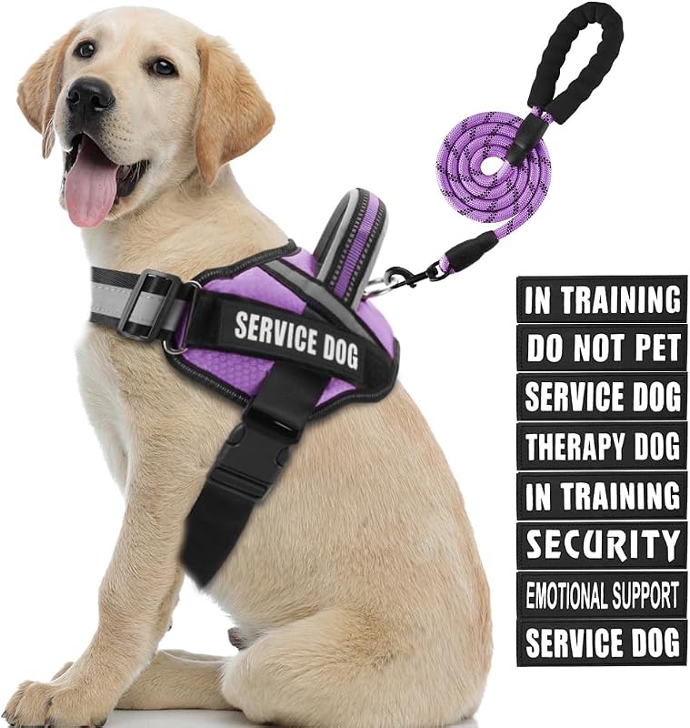 Peitoral Vest para Cães em Treinamento Animire com Guia Refletiva e 10 Patches, Roxo, L
