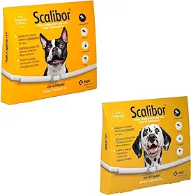 1 Coleira Antipulgas Scalibor G + 1 Coleira Scalibor Antipulgas P Cães MSD Leishmaniose