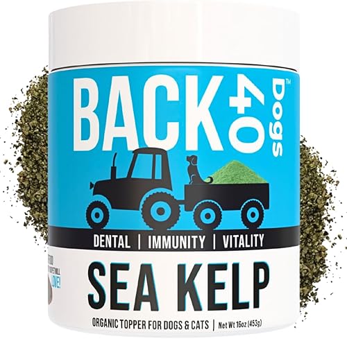 Miniatura 1 de Back 40 Dogs Kelp Powder, suplemento de algas marinas secas para una salud óptima de las mascotas, vitaminas multifuncionales para perros ricas en