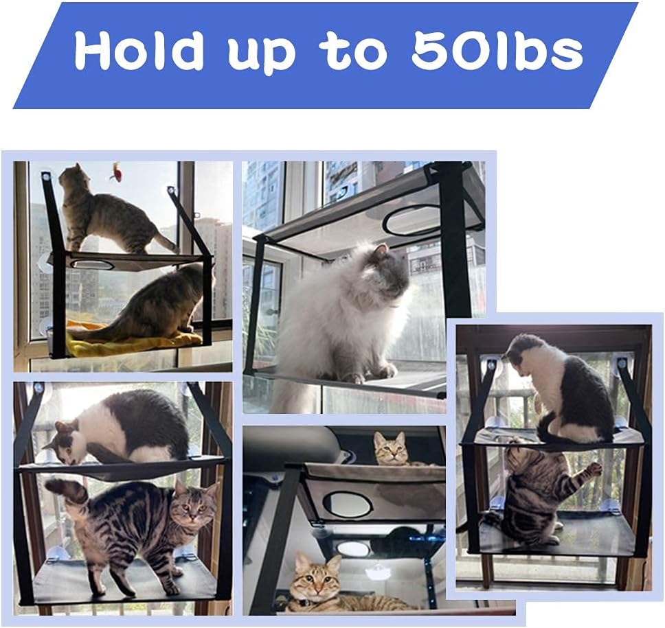 Cat Window Perch Cat Hammock Windows Seat Double for Large Cat Space Saving Window Mounted Cat Bed Durable Safety Cat Perch with 6 Suctions Cups Suit for Large and Small Cat Size