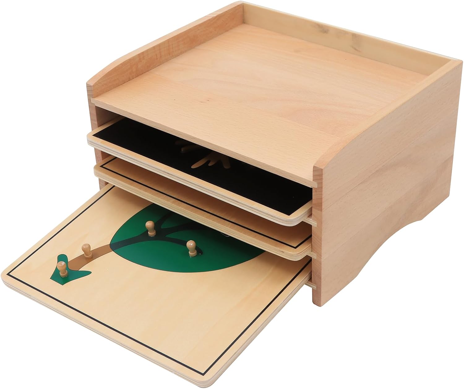 Adena Montessori Materials Botany Puzzle Cabinet (3 Puzzles Included)