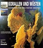  Korallen und Wüsten. Schönheiten des Roten Meeres