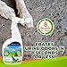 Eco Strong Outdoor Odor Eliminator | Outside Dog Urine Enzyme Cleaner – Powerful Pet, Cat, Animal Scent Deodorizer | Professional Strength for Yard, Turf, Kennels, Patios, Decks (32oz)