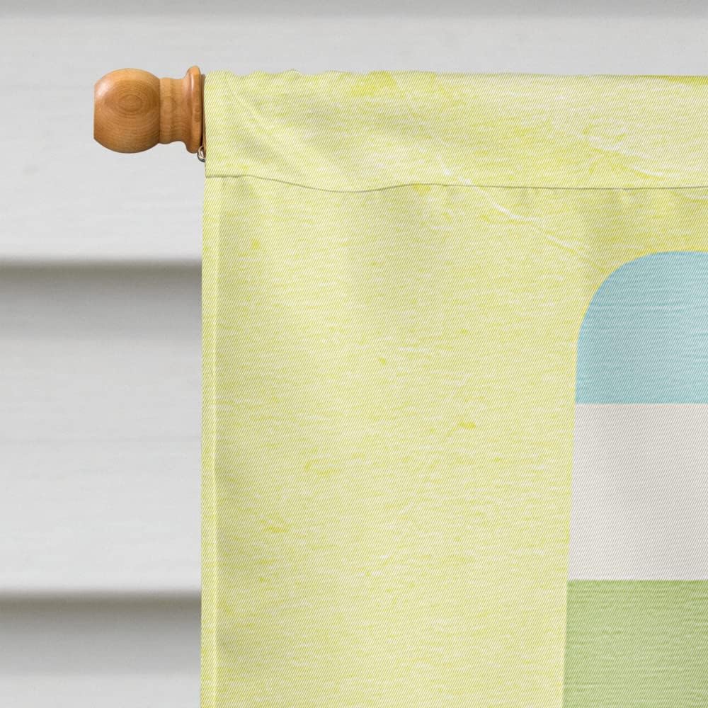 Caroline's Treasures SB3108CHF Keep Calm and eat Popsicles House Flag Large Porch Sleeve Pole Decorative Outside Yard Banner Artwork Wall Hanging, Polyester, House Size, Multicolor