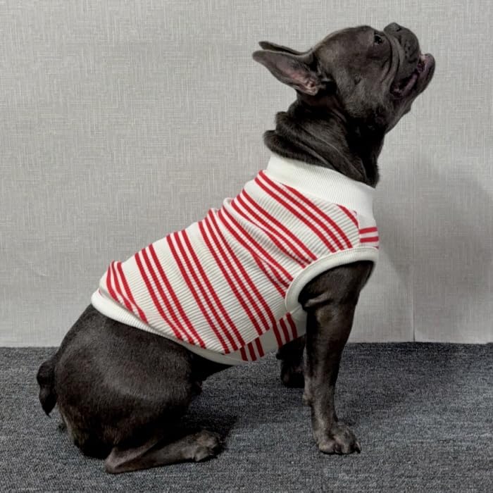 Amazon | D DOGGY STAR フレブル 服 フレンチブルドッグ ボーダー袖